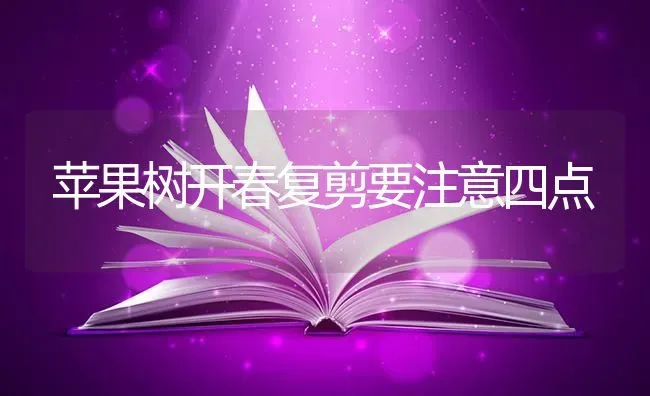 大棚甜瓜、西瓜、蔬菜高效种植模式 | 蔬菜种植