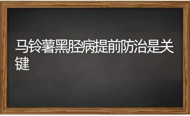 马铃薯黑胫病提前防治是关键 | 粮油作物种植