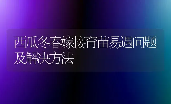 西瓜冬春嫁接育苗易遇问题及解决方法 | 瓜果种植