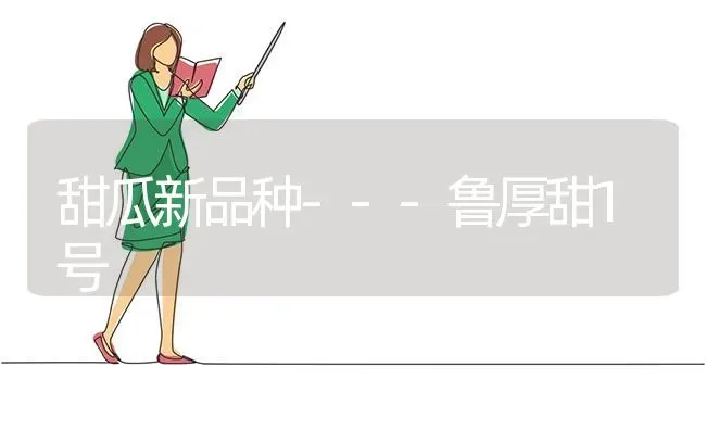 甜瓜新品种---鲁厚甜1号 | 瓜果种植