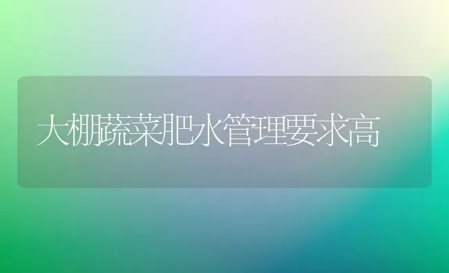 大棚蔬菜肥水管理要求高 | 蔬菜种植