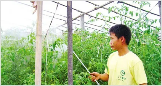 不同的蔬菜除草用什么除草剂？ | 种植病虫害