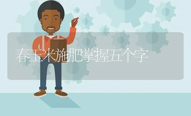 春玉米施肥掌握五个字 | 种植肥料施肥