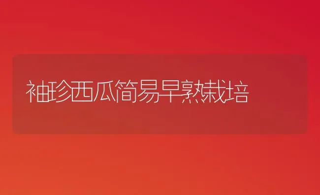 袖珍西瓜简易早熟栽培 | 瓜果种植