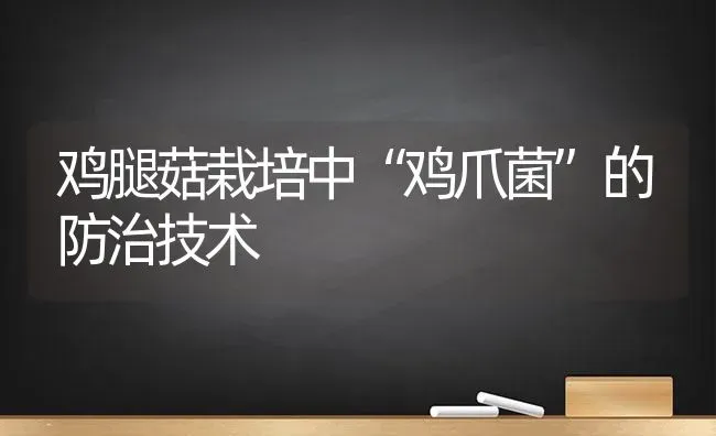 鸡腿菇栽培中“鸡爪菌”的防治技术 | 食用菌种植
