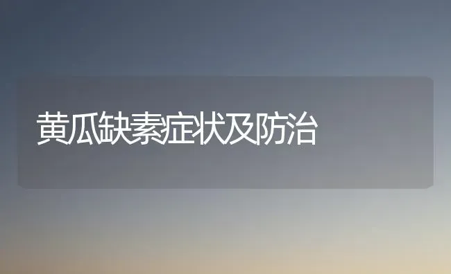 黄瓜缺素症状及防治 | 蔬菜种植