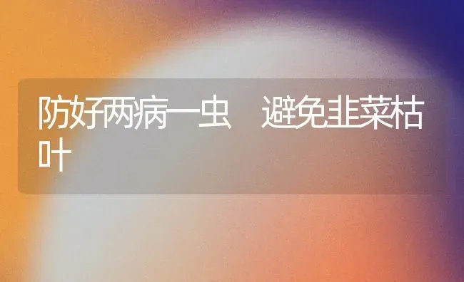 防好两病一虫 避免韭菜枯叶 | 蔬菜种植