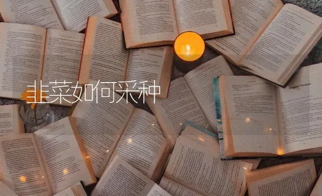 韭菜如何采种 | 蔬菜种植