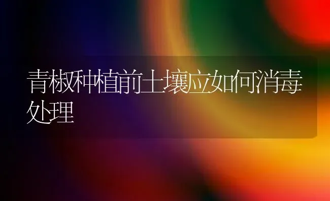 青椒种植前土壤应如何消毒处理 | 植物种植百科