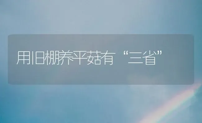 用旧棚养平菇有“三省” | 食用菌种植