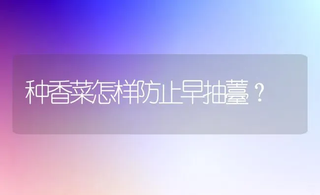种香菜怎样防止早抽薹？ | 蔬菜种植