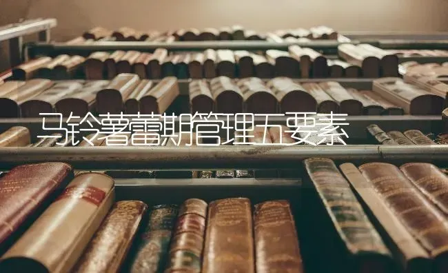 马铃薯蕾期管理五要素 | 粮油作物种植