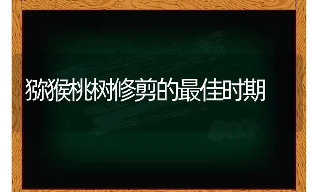 猕猴桃树修剪的最佳时期 | 瓜果种植