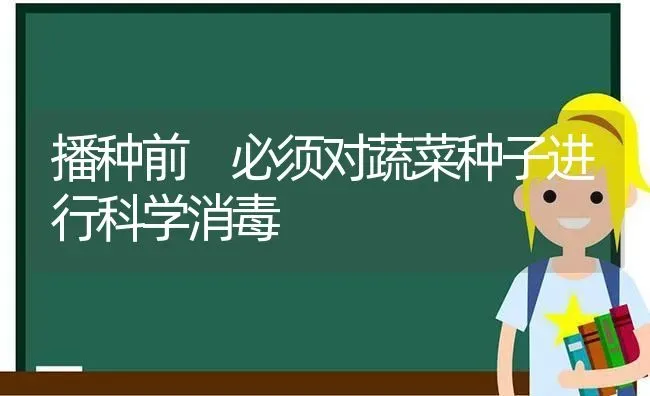 播种前 必须对蔬菜种子进行科学消毒 | 蔬菜种植