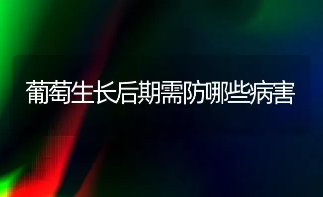 葡萄生长后期需防哪些病害 | 瓜果种植
