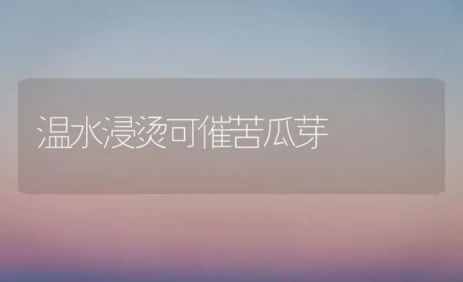 温水浸烫可催苦瓜芽 | 蔬菜种植