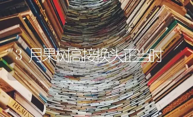 3月果树高接换头正当时 | 瓜果种植