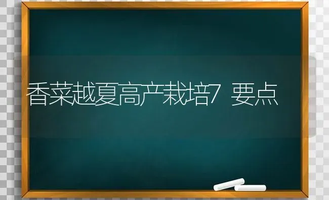 香菜越夏高产栽培7要点 | 蔬菜种植