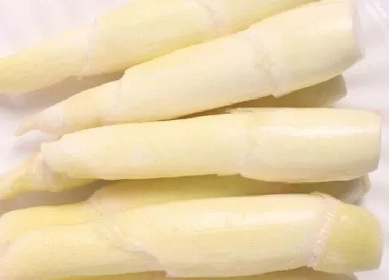 功效常识|茭白的功效与作用及食用方法