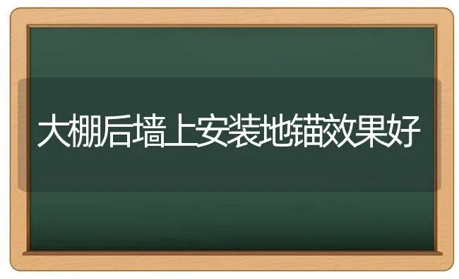 大棚后墙上安装地锚效果好 | 瓜果种植