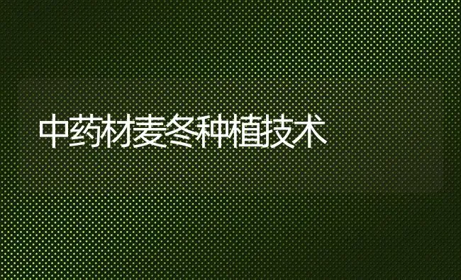 中药材麦冬种植技术 | 药材种植