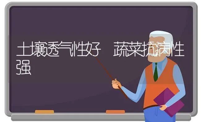土壤透气性好 蔬菜抗病性强 | 蔬菜种植