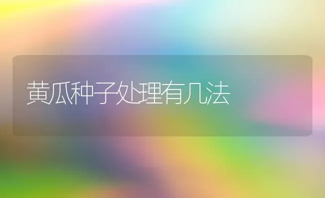 黄瓜种子处理有几法 | 蔬菜种植