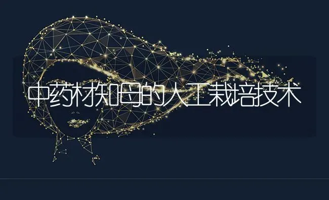 中药材知母的人工栽培技术 | 药材种植