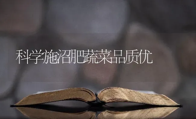 科学施沼肥蔬菜品质优 | 蔬菜种植