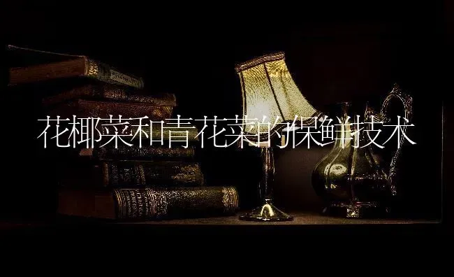 花椰菜和青花菜的保鲜技术 | 蔬菜种植