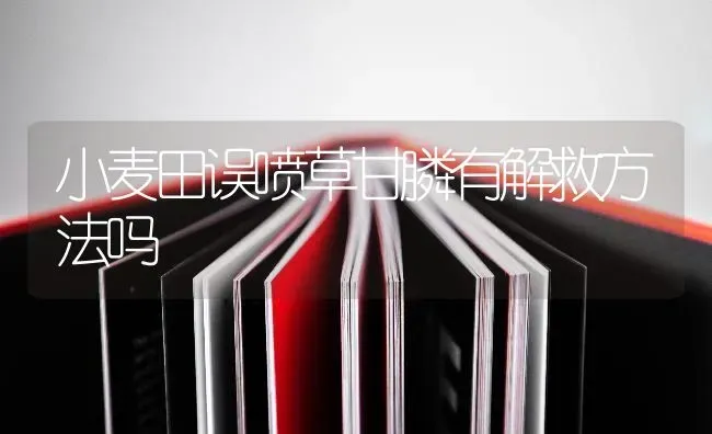 小麦田误喷草甘膦有解救方法吗 | 粮油作物种植