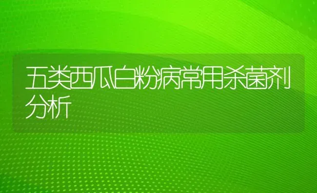 五类西瓜白粉病常用杀菌剂分析 | 瓜果种植