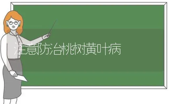 注意防治桃树黄叶病 | 瓜果种植