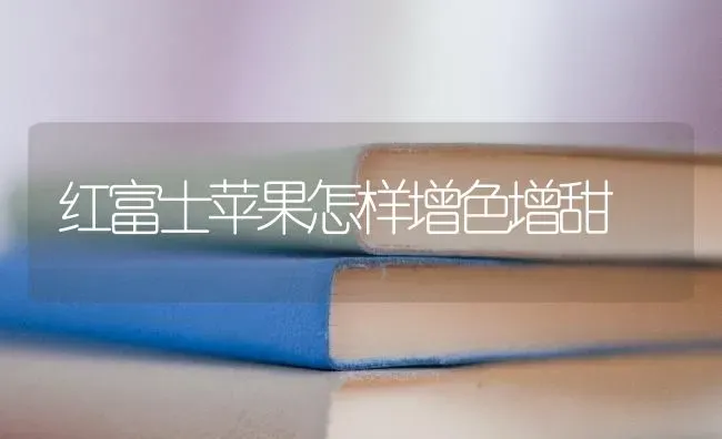红富士苹果怎样增色增甜 | 瓜果种植