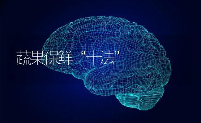 蔬果保鲜“十法” | 瓜果种植