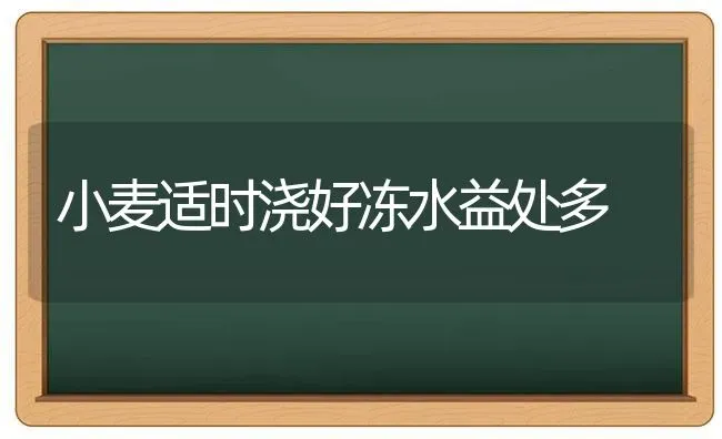 小麦适时浇好冻水益处多 | 粮油作物种植