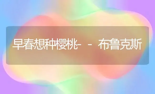 早春想种樱桃--布鲁克斯 | 瓜果种植