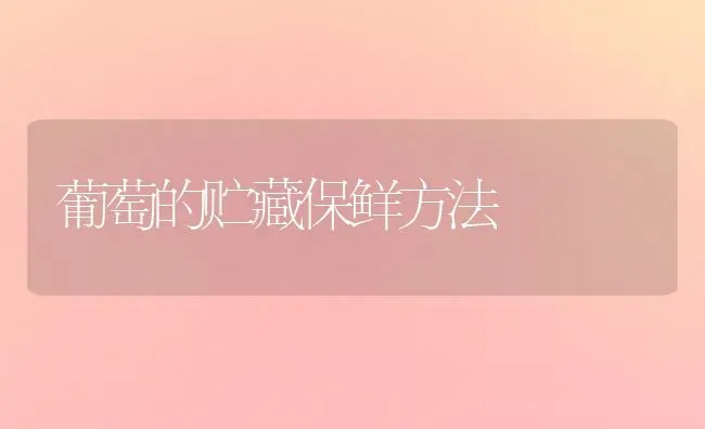 葡萄的贮藏保鲜方法 | 瓜果种植