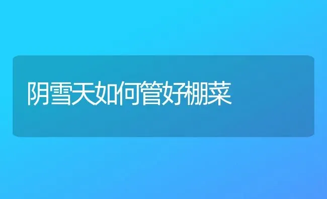 阴雪天如何管好棚菜 | 蔬菜种植