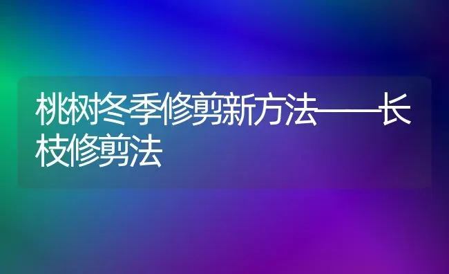 桃树冬季修剪新方法——长枝修剪法 | 瓜果种植