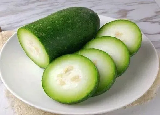 食用科普|冬瓜是热性还是凉性蔬菜（冬瓜属性寒还是性冷的食物）