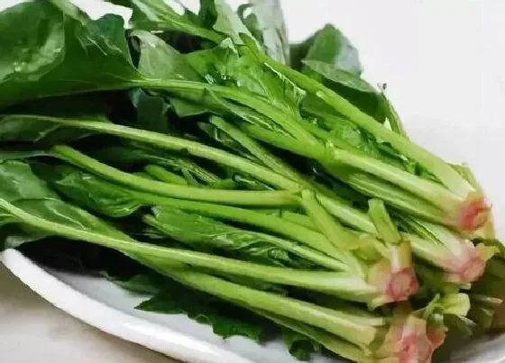 果实科普|蔬果是碳水化合物吗