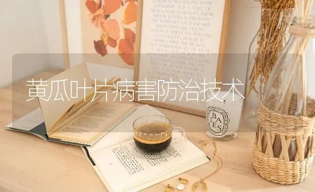 黄瓜叶片病害防治技术 | 蔬菜种植