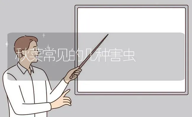 秋菜常见的几种害虫 | 蔬菜种植