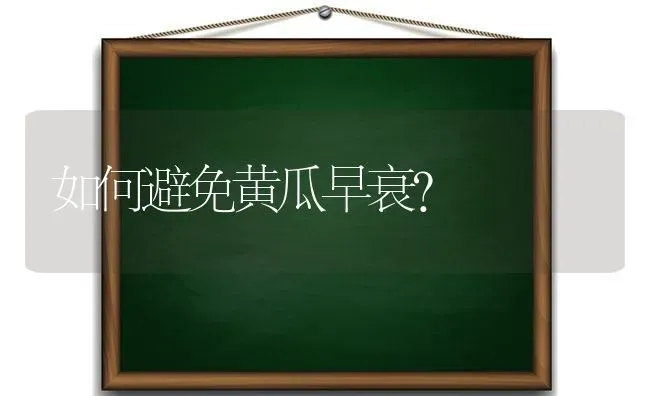 如何避免黄瓜早衰？ | 蔬菜种植