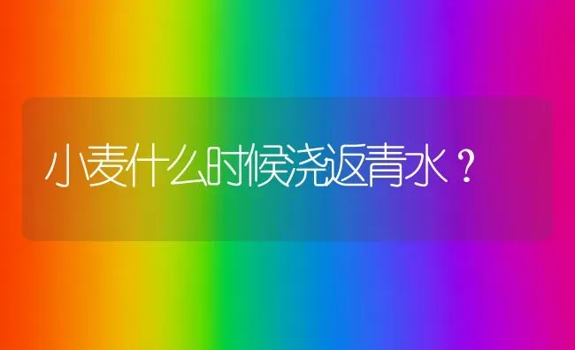 小麦什么时候浇返青水？ | 粮油作物种植