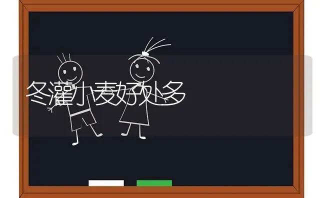 草莓近期需要关注这些问题 | 瓜果种植