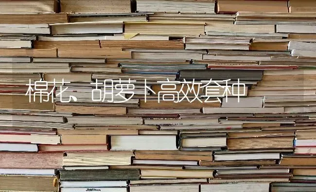 棉花、胡萝卜高效套种 | 粮油作物种植