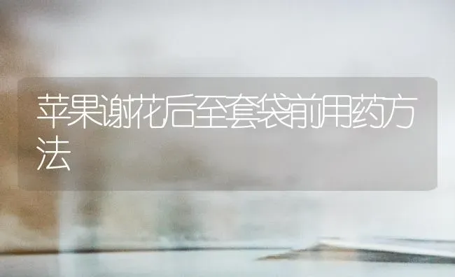 苹果谢花后至套袋前用药方法 | 瓜果种植