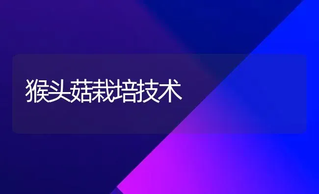 猴头菇栽培技术 | 食用菌种植
